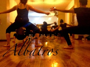 Featured image of post ALBATROS