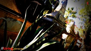Featured image of post Camposanto y Templo de San Sebastian