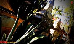 Featured image of post Camposanto y Templo de San Sebastian