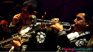 Featured image of post Gala Inaugural FIC 2016