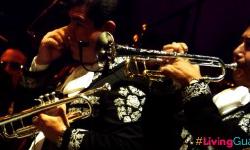 Featured image of post Gala Inaugural FIC 2016